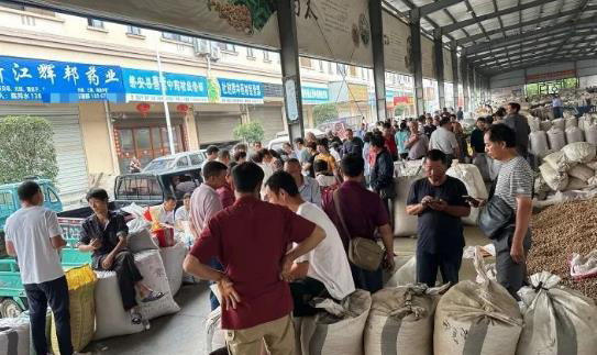 中药材涨价热潮“席卷”全国四大药材专业市场 中药材涨价热潮“席卷”全国四大药材专业市场